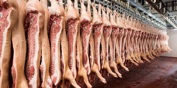 leading-us-pork-producer-digital-transformation